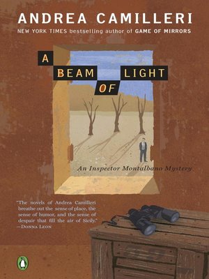 cover image of A Beam of Light